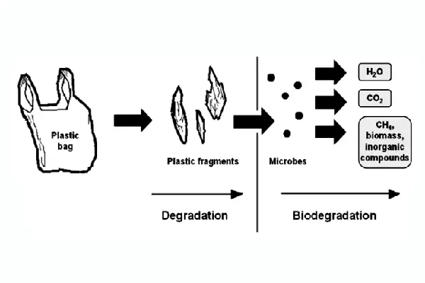 Applications and Environmental Advantages of Compostable Materials in Pouch Packaging